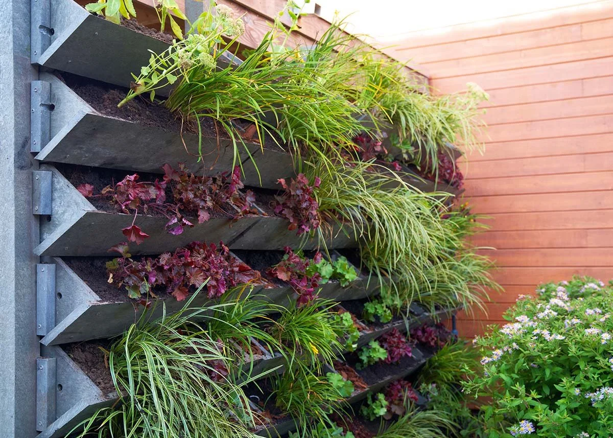 Vertical Gardening