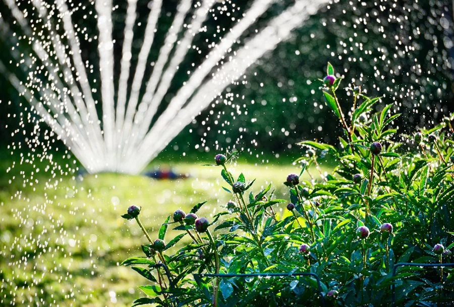 Irrigation Benefits