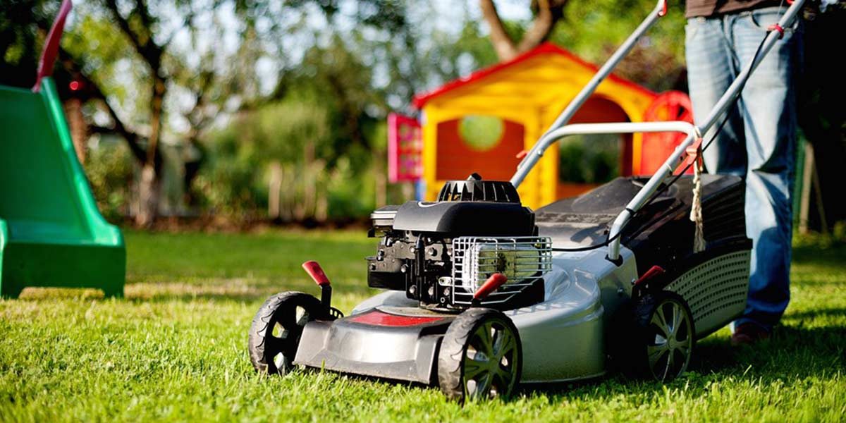 Lawn Maintenance Benefits